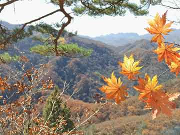米非司酮在线下单一文读懂基金圈千人盛会！基金领军人、顶流学者、知名大v激辩 关税、价值重估、投资者获得感成核心议题