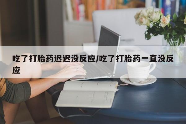 米非司酮在线下单吃了打胎药迟迟没反应/吃了打胎药一直没反应