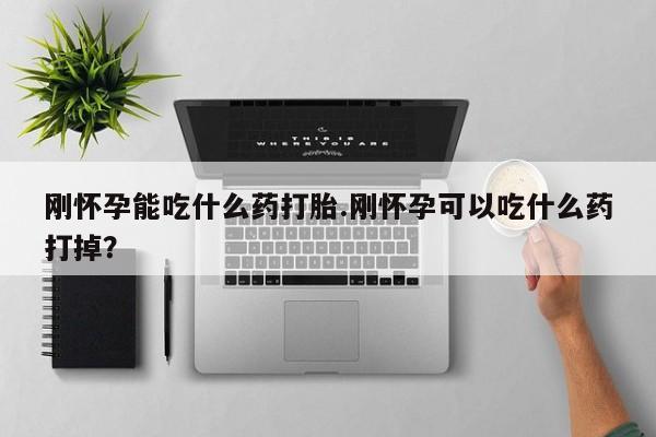 米非司酮在线下单刚怀孕能吃什么药打胎.刚怀孕可以吃什么药打掉？