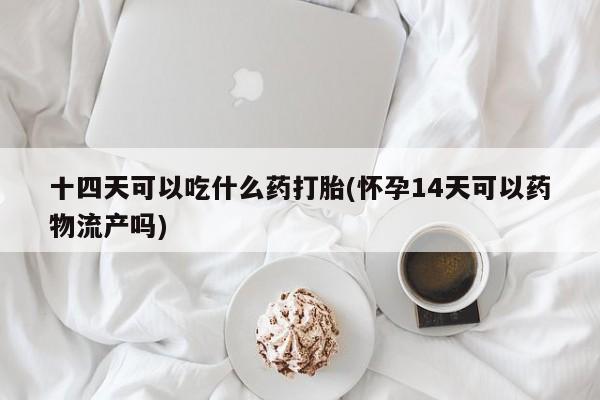 米非司酮在线下单十四天可以吃什么药打胎(怀孕14天可以药物流产吗)